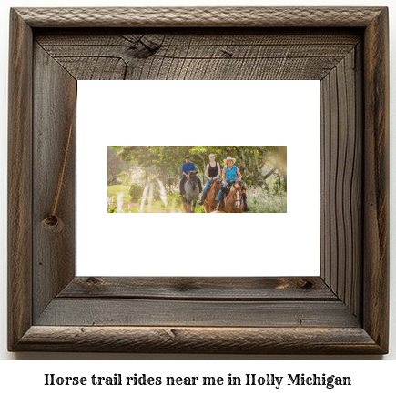 horse trail rides near me in Holly, Michigan